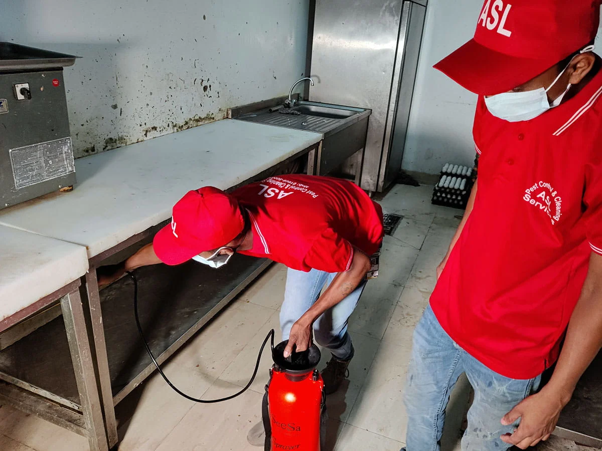 ASL Cockroaches, Rodents, Bed bugs, Mosquitoes and Ants pest control services in dhaka bangladesh.