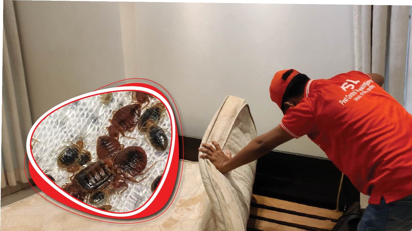 ASL Pest control services in Dhaka bangladesh